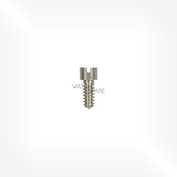 Felsa Cal. 21-22 - Vis de pont 5105