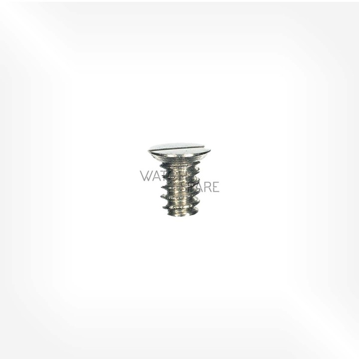 ETA Cal. 2450 - Vis de bride de fixation 5166