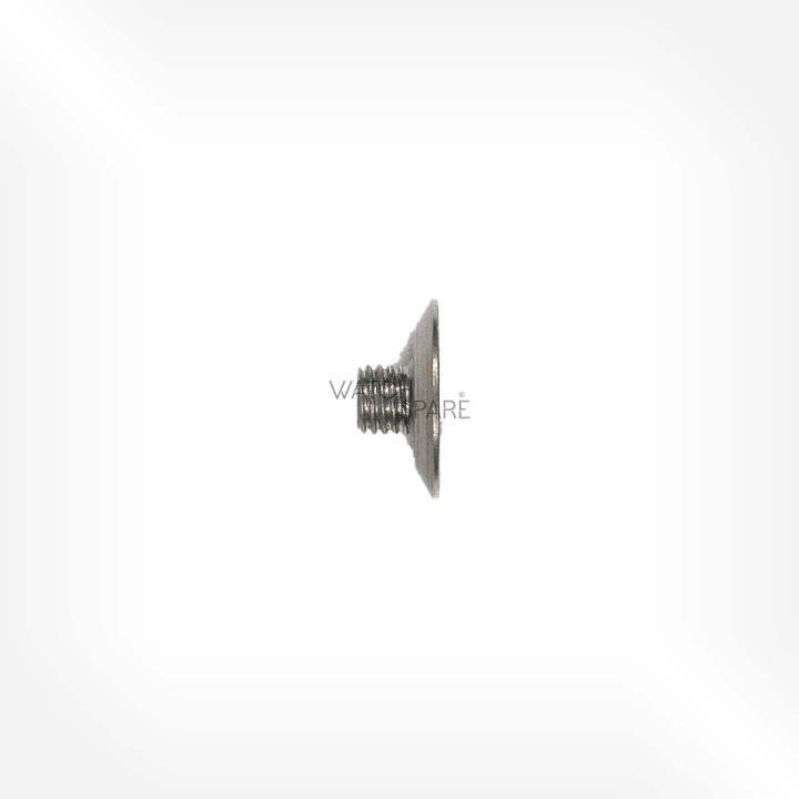 ETA Cal. 2520 - Vis de roue-palier de masse oscillante 51498