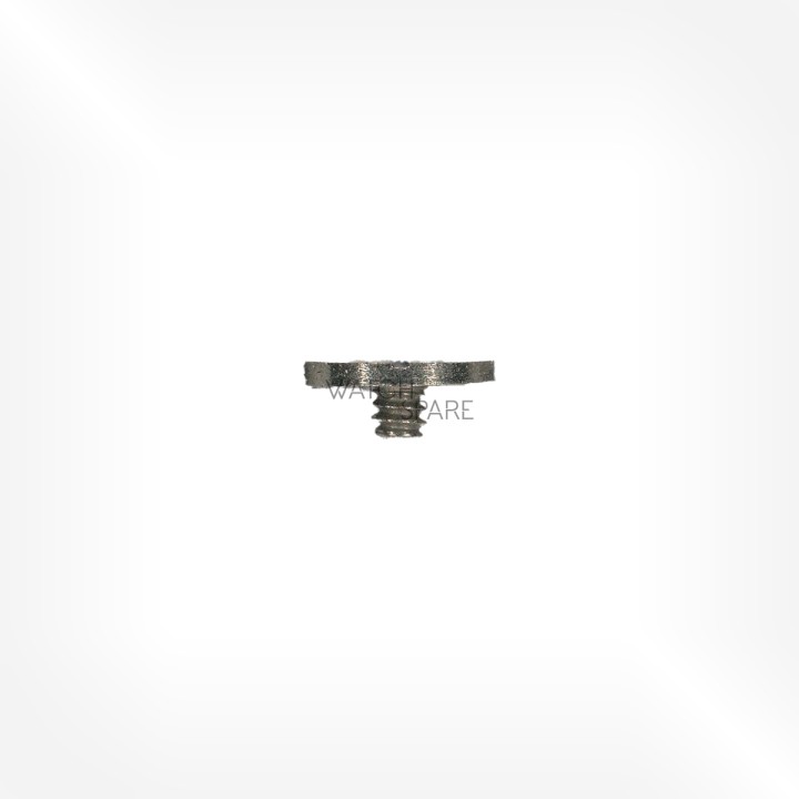 FHF Cal. 189 - Vis de rochet 5415