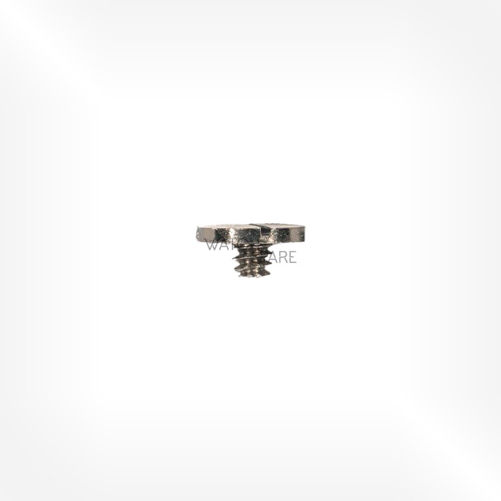 FHF Cal. 26 - Vis de cliquet 5425