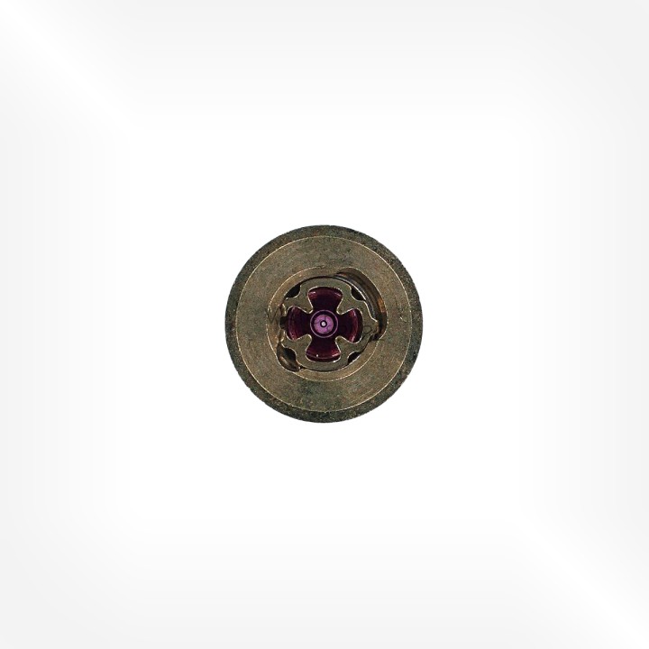 FHF Cal. 28 - Coqueret nickel 311