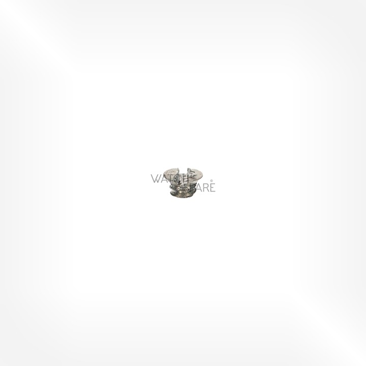 FHF Cal. 62-2 - Vis de coqueret 5311