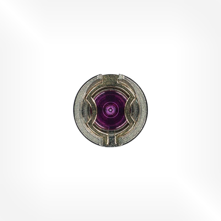 FHF Cal. 69N ST - Amortisseur empierré, à chasser, cylindrique, de balancier dessous 3003