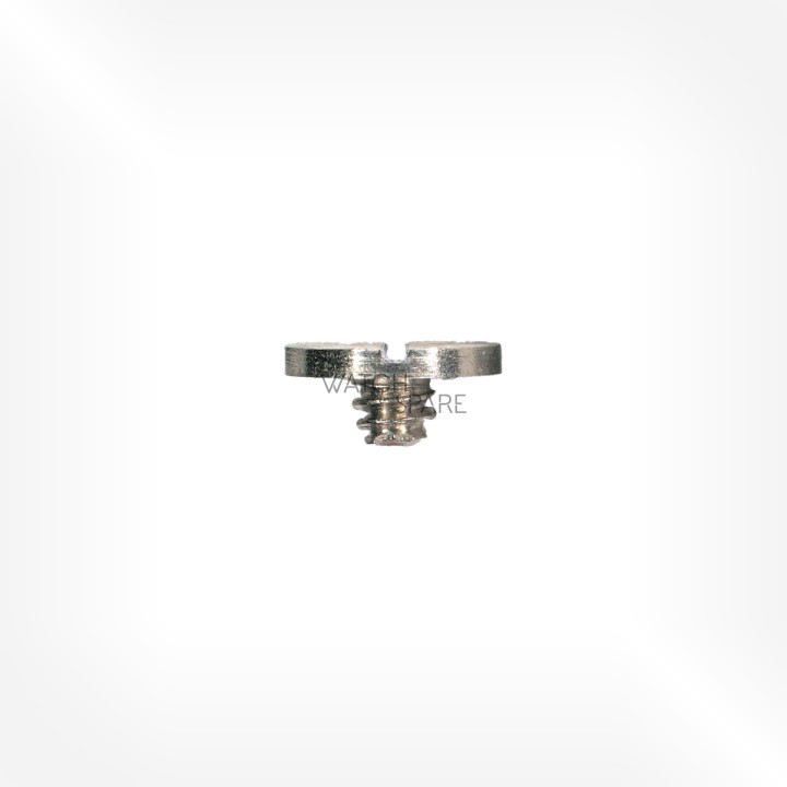 FHF Cal. 76-2 - Vis de cliquet 5425