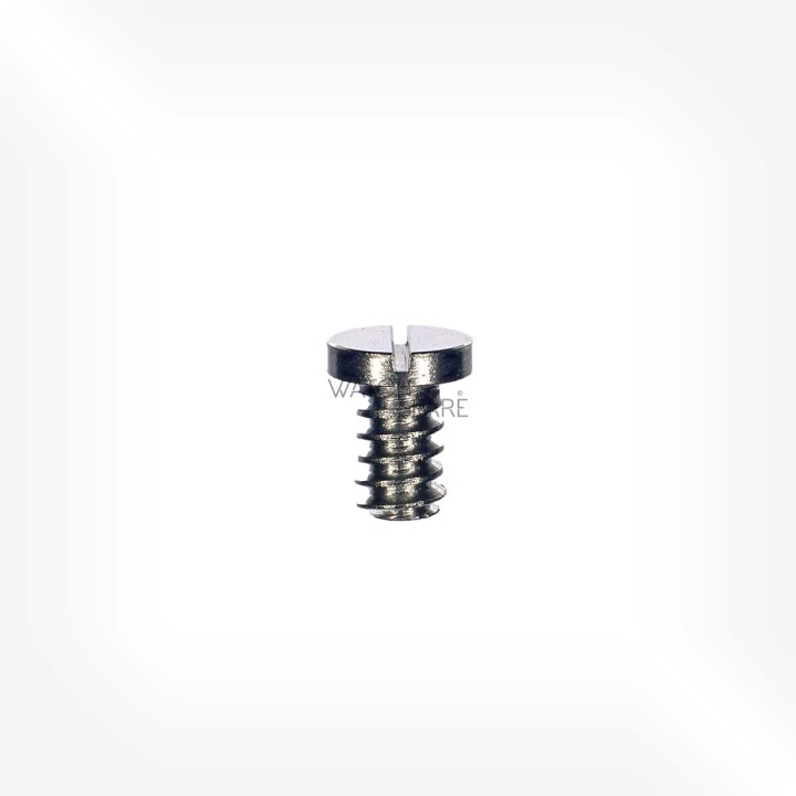 Omega Cal. 320 - Vis de ressort de baladeur 2234