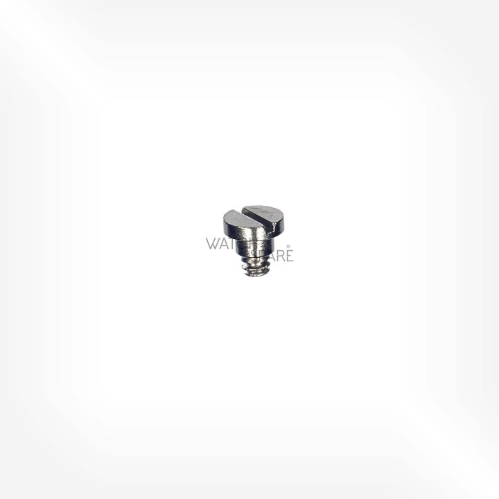 Omega Cal. 861 - Vis sur marteau (appui du ressort) 2552