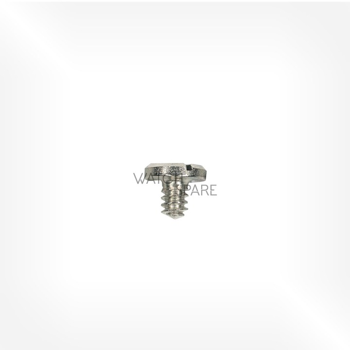 Valjoux Cal. 72 - Vis de fixage 5101
