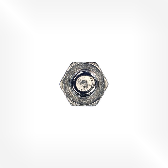 Watch Spare - Vis de lunette et tube de boîte compatible pour Audemars Piguet Royal Oak réf. 5402 et 15002