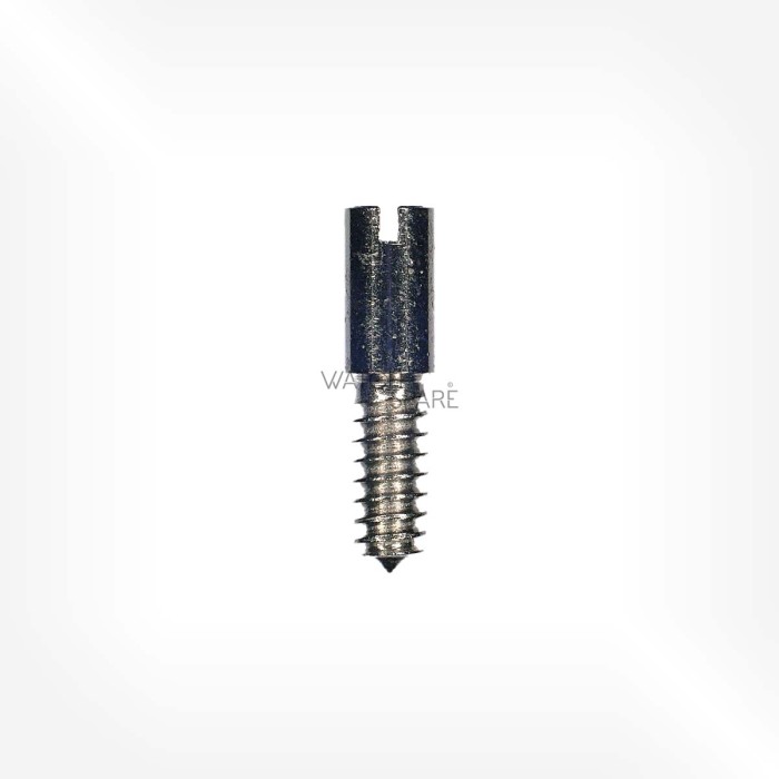 AS Cal. 1902 - Vis de cadran 5750