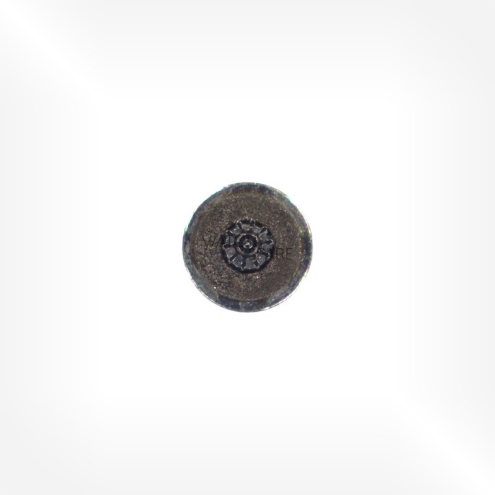 Bulova Cal. 2453 - Rotor 20.580
