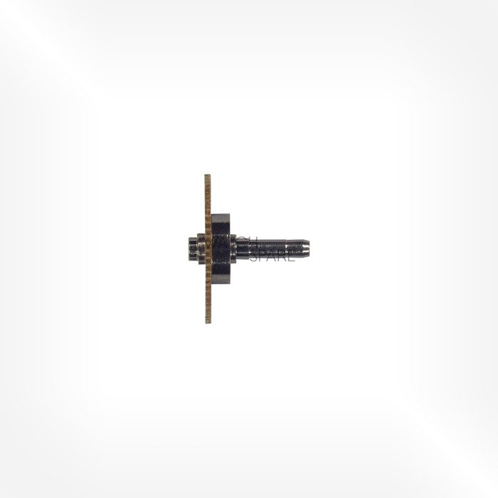 Bulova Cal. 2462 - Roue de centre 30.015