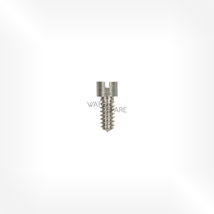 Felsa Cal. 21-22 - Vis de pont 5105