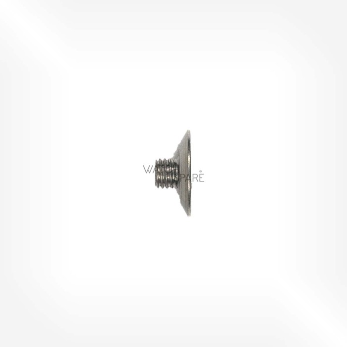 ETA Cal. 2520 - Vis de roue-palier de masse oscillante 51498