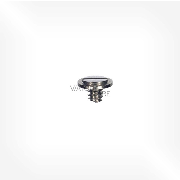 ETA Cal. 2522 - Vis de fixage spéciale 5102