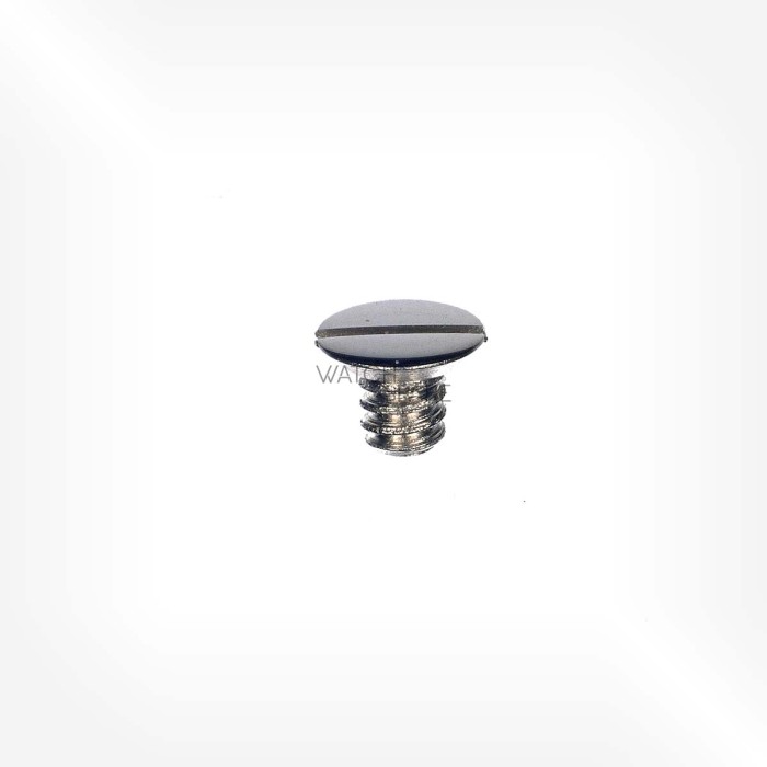 ETA Cal. 2538 - Vis de fixage 5101