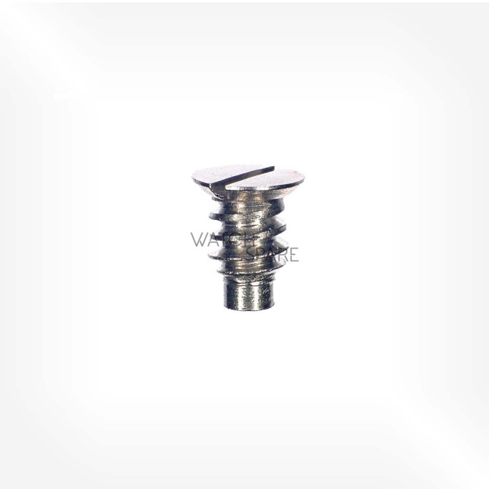 ETA Cal. 2538 - Vis de rochet 5415