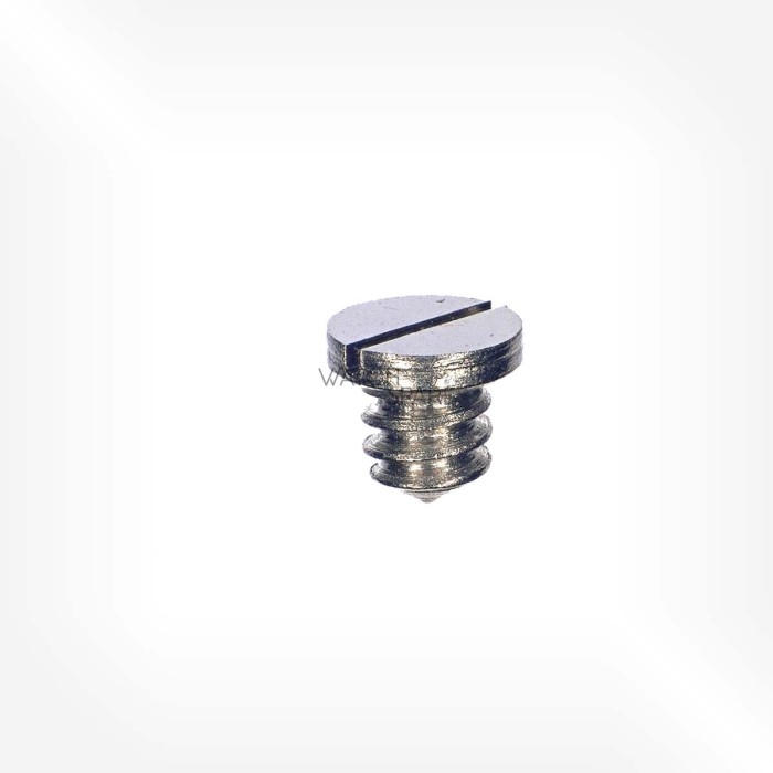 ETA Cal. 2538 - Vis de sautoir de tirette 5445