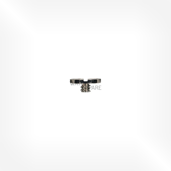 FHF Cal. 100.101 - Vis de roue de couronne 5420