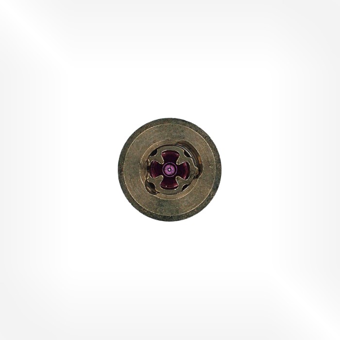 FHF Cal. 28 - Coqueret nickel 311