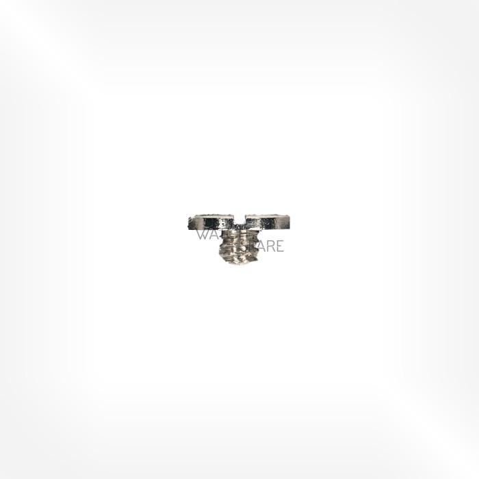 FHF Cal. 70 - Vis de cliquet 5425