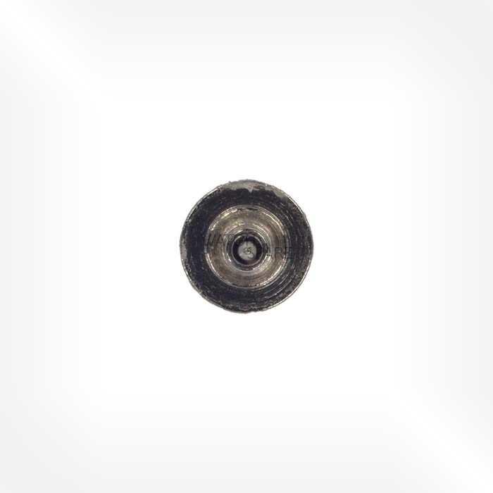 LeCoultre Cal. 9 - Axe de balancier 1517