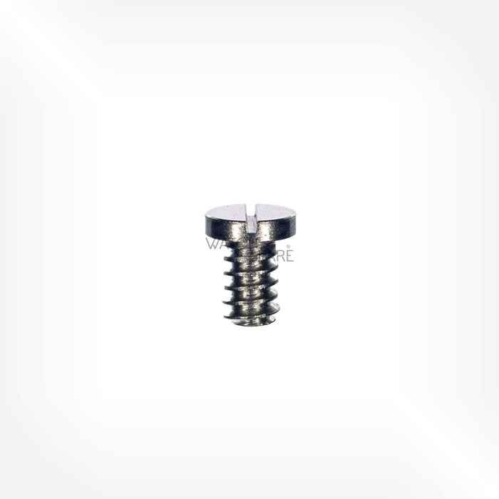 Omega Cal. 320 - Vis de ressort de baladeur 2234