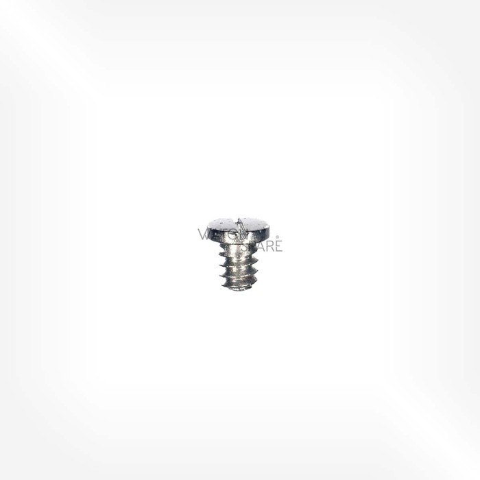 Omega Cal. 683 - Vis de clavette de rotor 2642