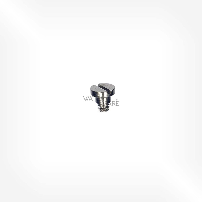 Omega Cal. 861 - Vis sur marteau (appui du ressort) 2552