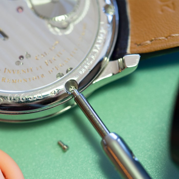Watch Spare - Vis de boîte en or gris compatible pour toutes les F.P. Journe