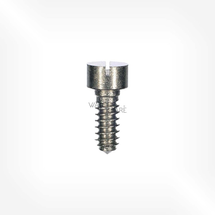 Valjoux Cal. 234 - Vis de fixage 5101