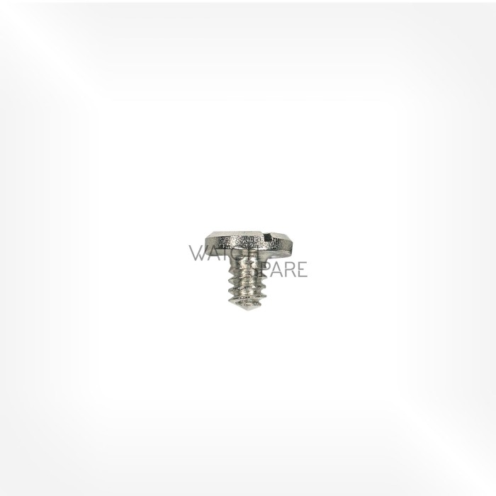 Valjoux Cal. 72 - Vis de fixage 5101